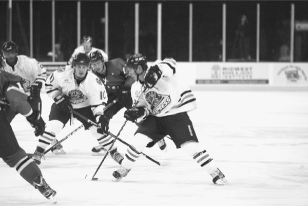 Chicago Express ECHL team in action on the ice. (Photo provided)