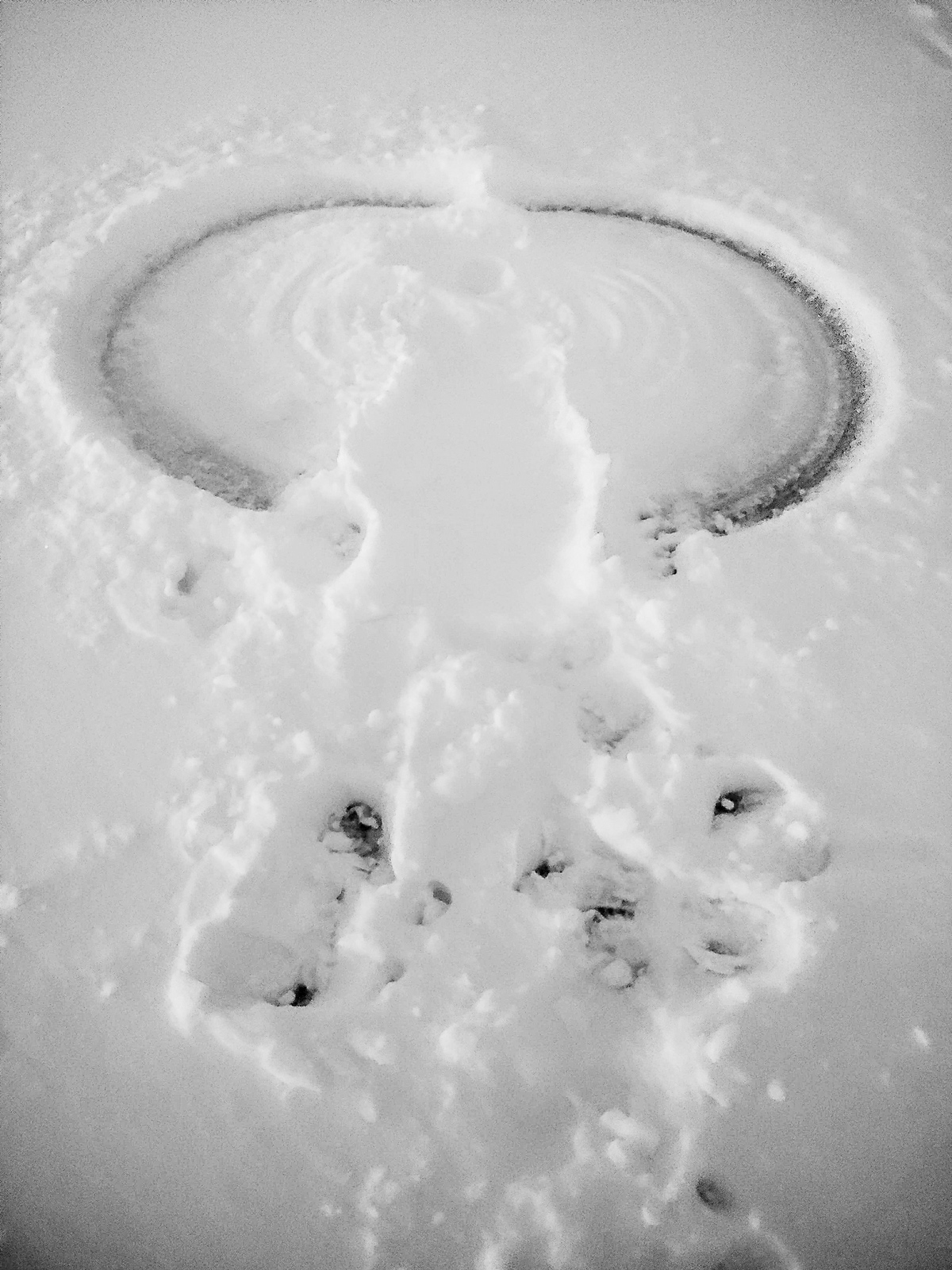 “Cool” Neighbor Nancy Jenks took a moment away from shoveling a neighbor’s driveway to have a little fun and make a snow angel. (Photo provided)