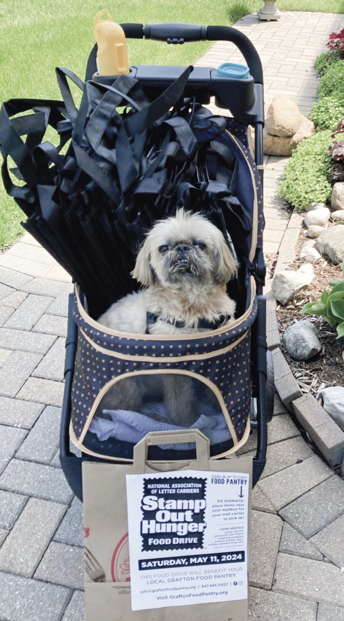 Many Sun City volunteers helped...even a mascot named Charlie!